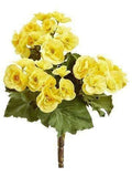 12 Pieces Yellow Begonia Bush J43537
