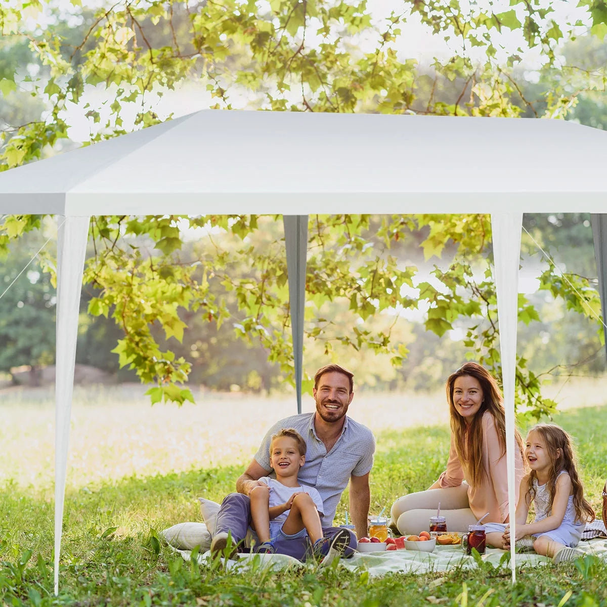10'x20' Heavy Duty Outdoor Canopy S819
