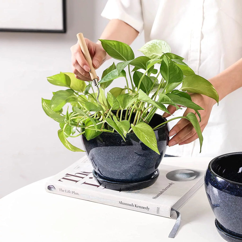 6.5 Inch Ceramic Plant Pot with Drainage Hole and Saucer A867