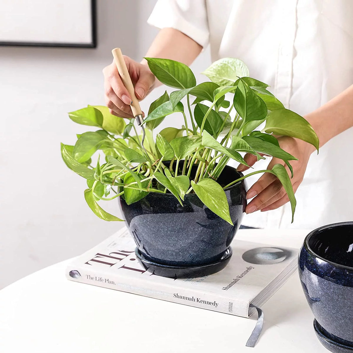 6.5 Inch Ceramic Plant Pot with Drainage Hole and Saucer A867