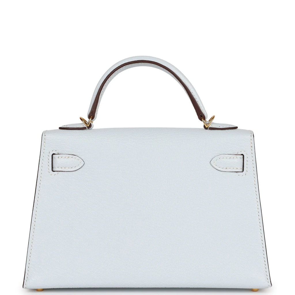 Bleu Brume Chevre Bag F37577