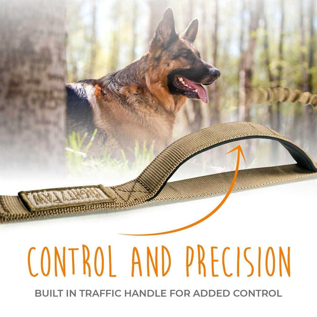 Dual Handle Dog Leash P29043