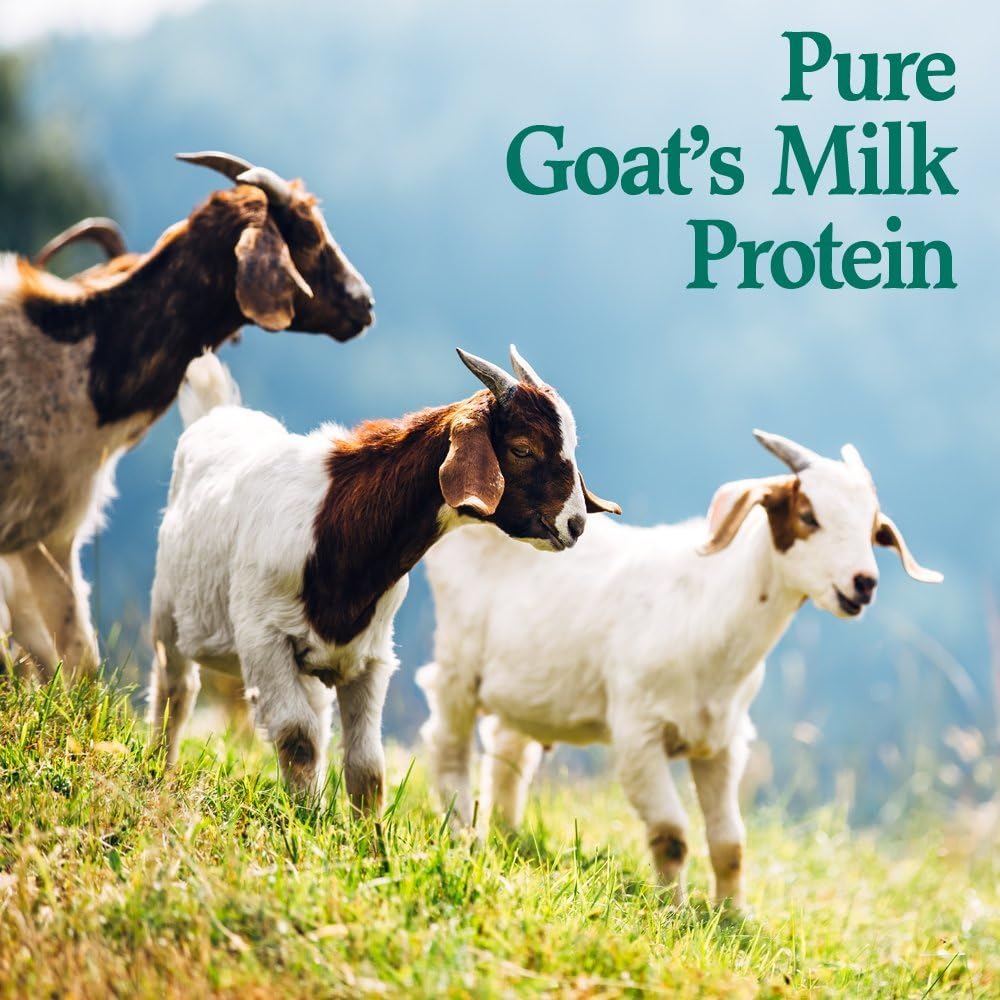 Goat Protein Powder, 22 Servings, 15.5 Ounce Pack of 2 V385490