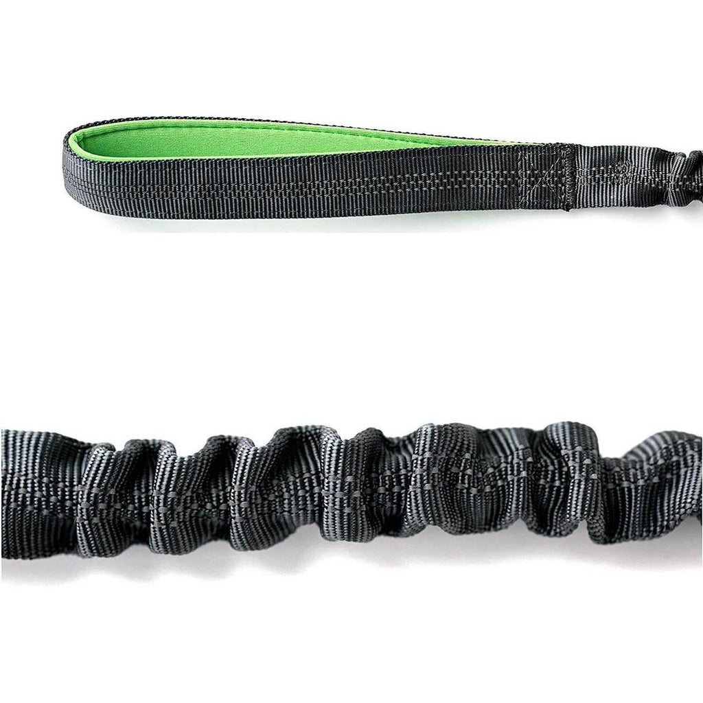 Dual Handle Dog Leash P29043