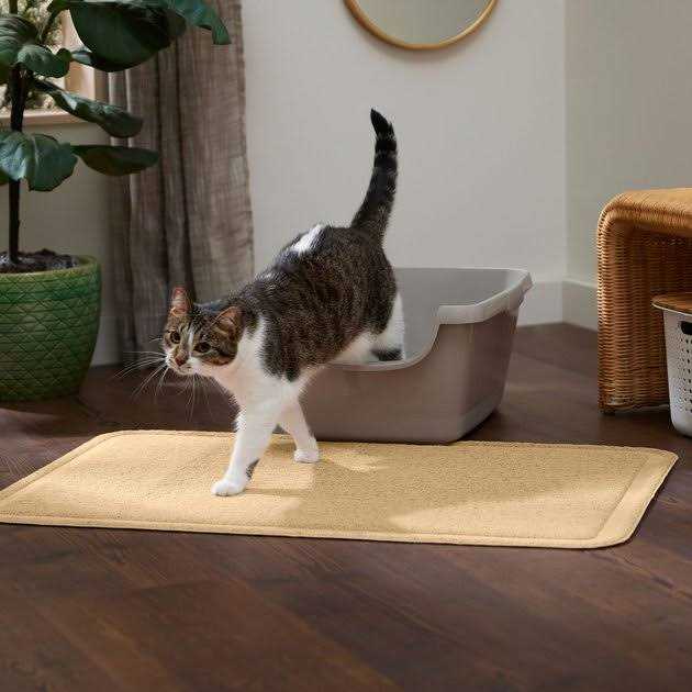 Rectangular Cat Litter Mat P5638