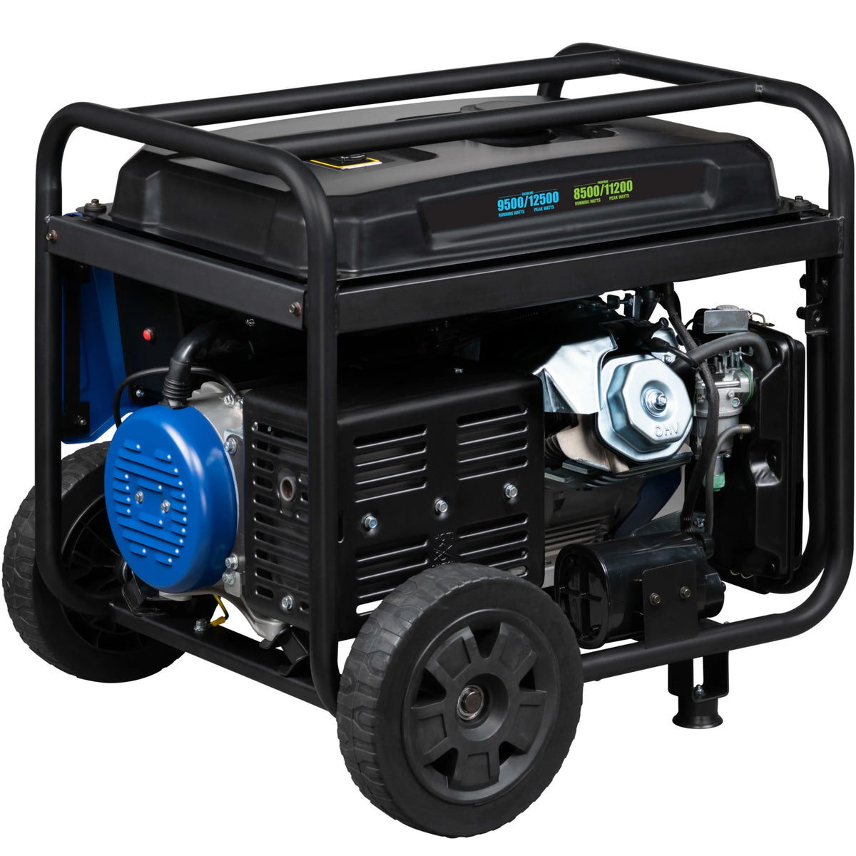12,500 Peak Watt Dual Fuel Portable Generator with Electric Start T5062