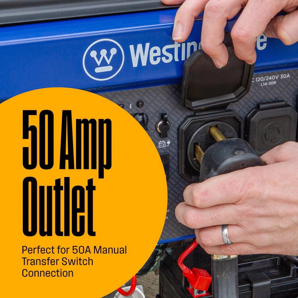 12,500 Peak Watt Dual Fuel Portable Generator with Electric Start T5062