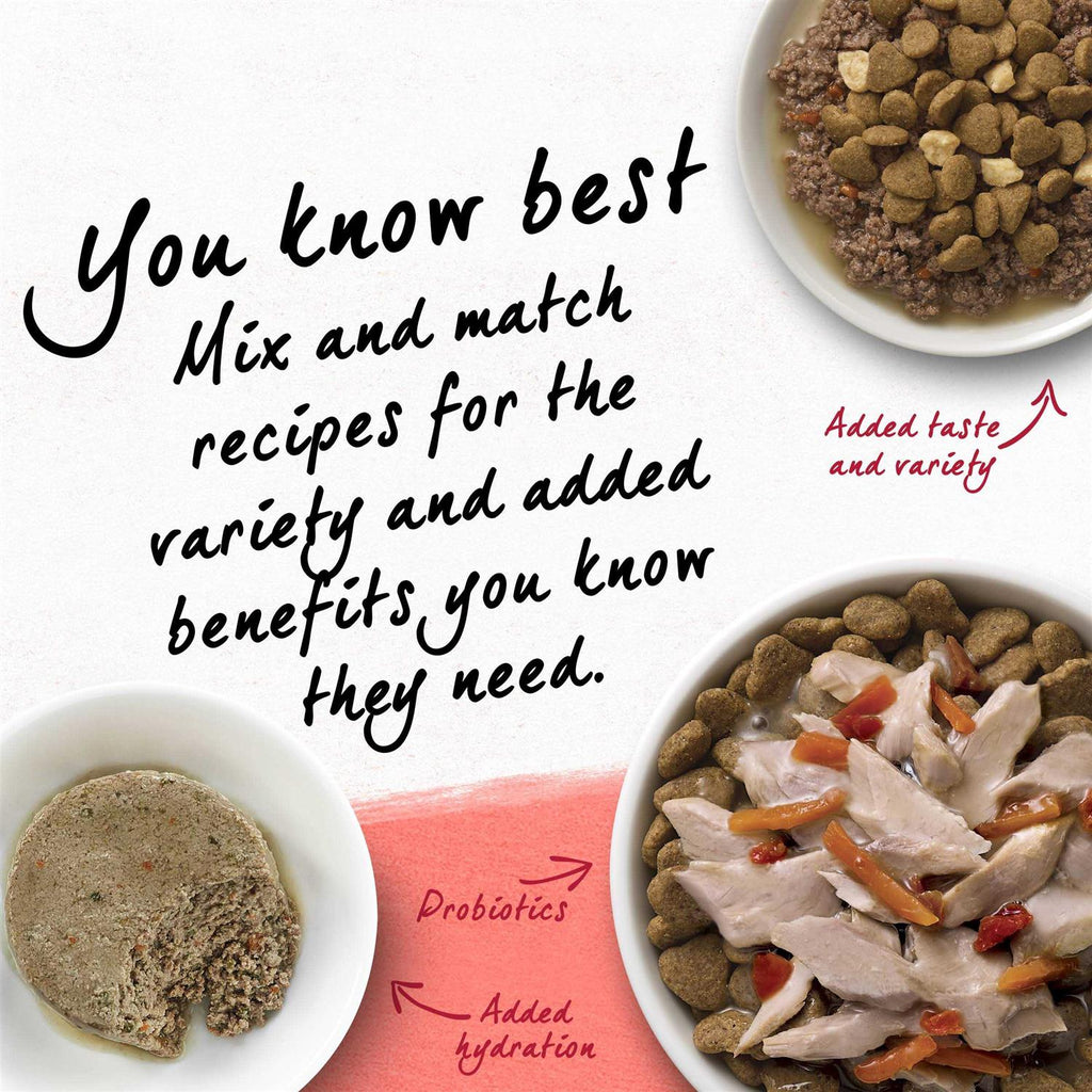 Cat Dry Food T20109
