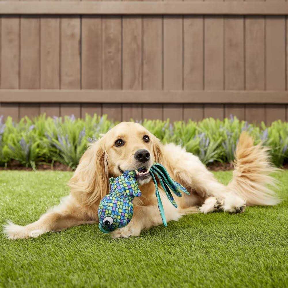Blue Dog Toy N361