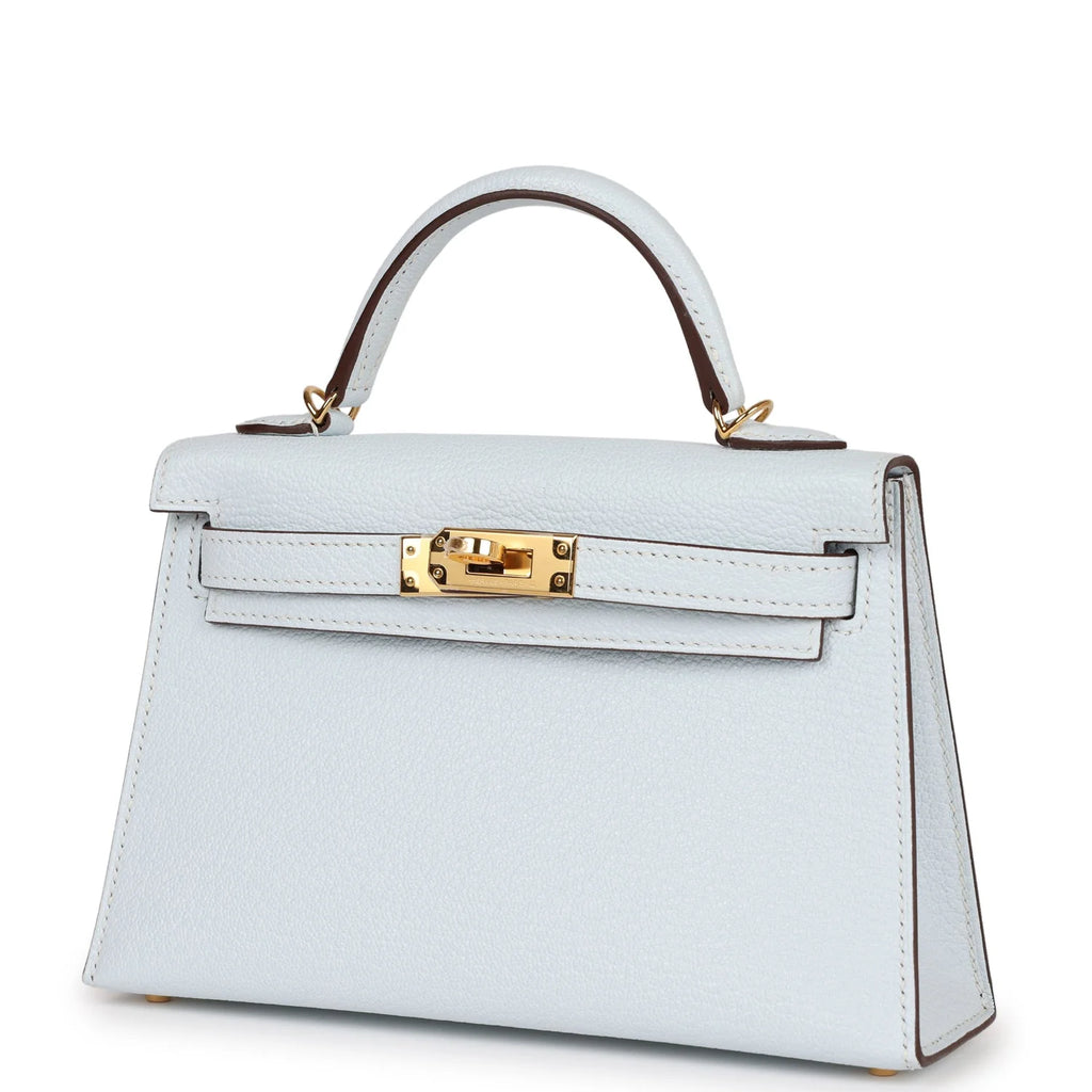 Bleu Brume Chevre Bag F37577