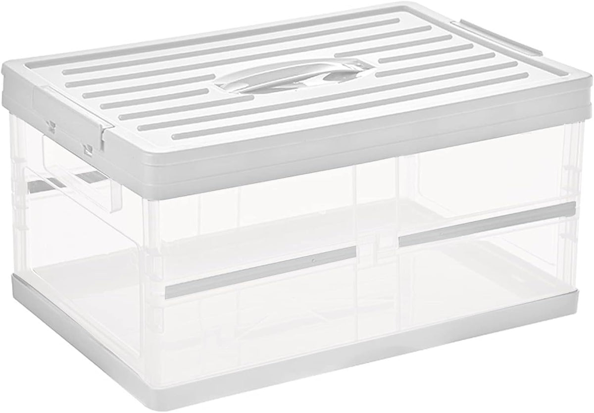 Foldable Plastic Storage Bin with Lid, Pack of 2 T81494
