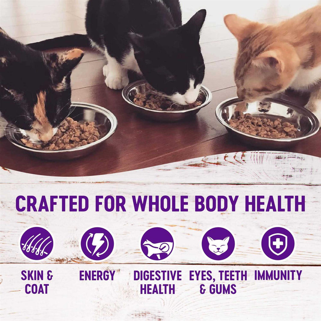 Complete Health Pâté R6295