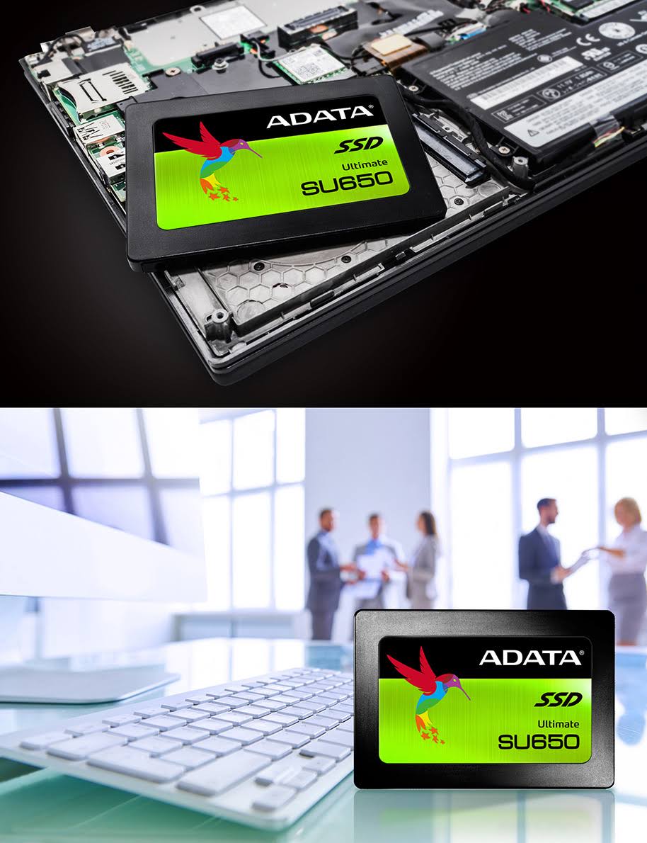 480GB SATA III Internal Solid State Drive S1631
