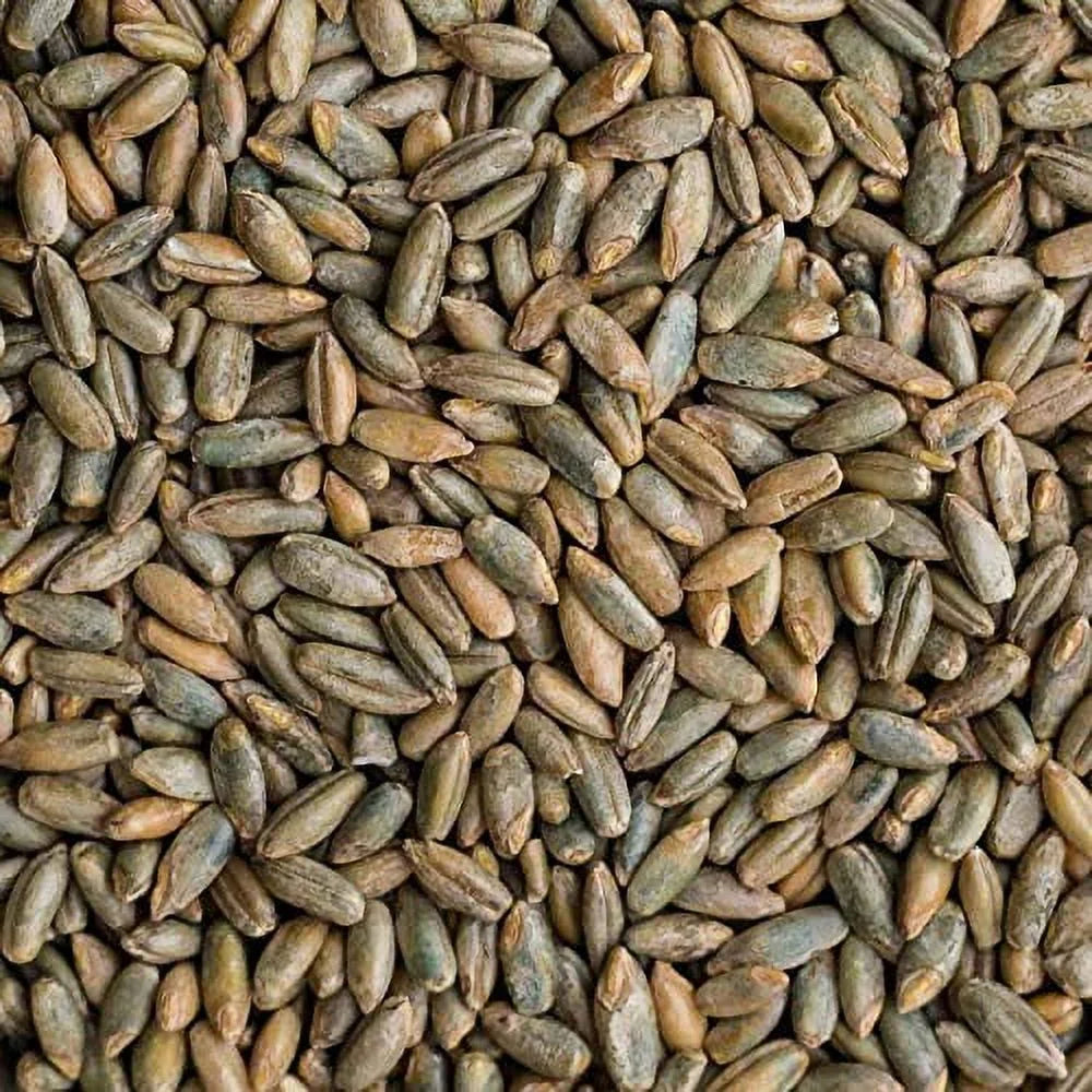 Certified Organic Rye Berries 5 Lbs Whole Wheat Grain R753