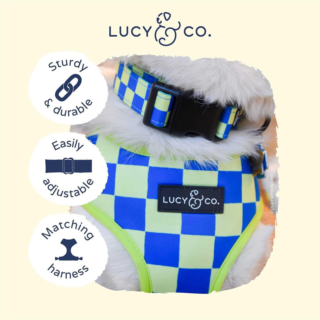 Adjustable Dog Collar B4683