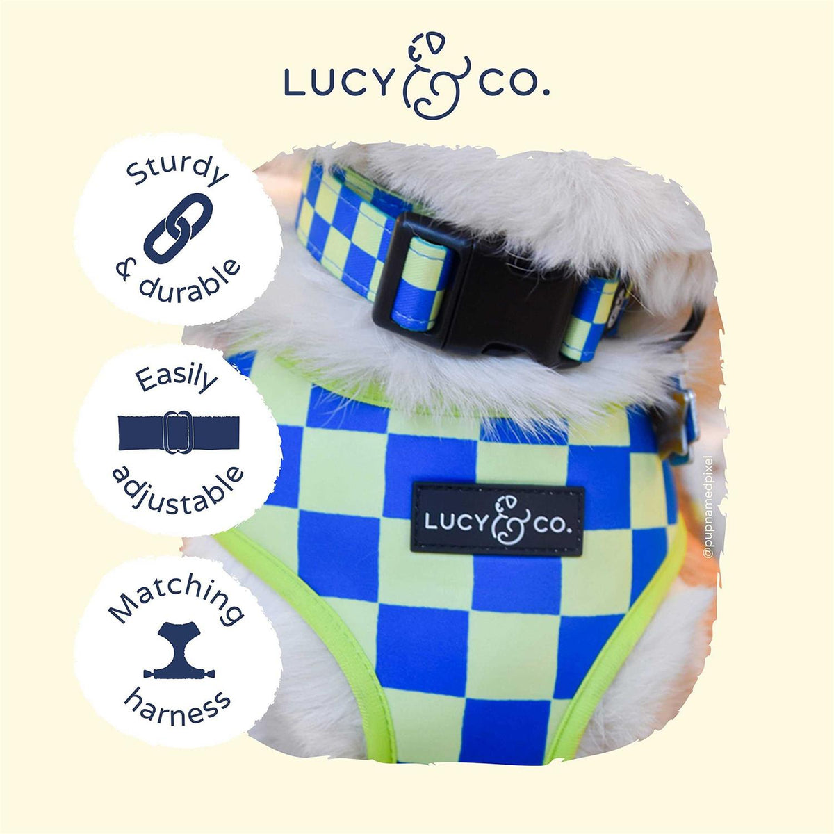 Adjustable Dog Collar B4683