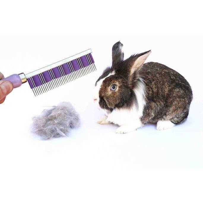 Pet Comb N167281
