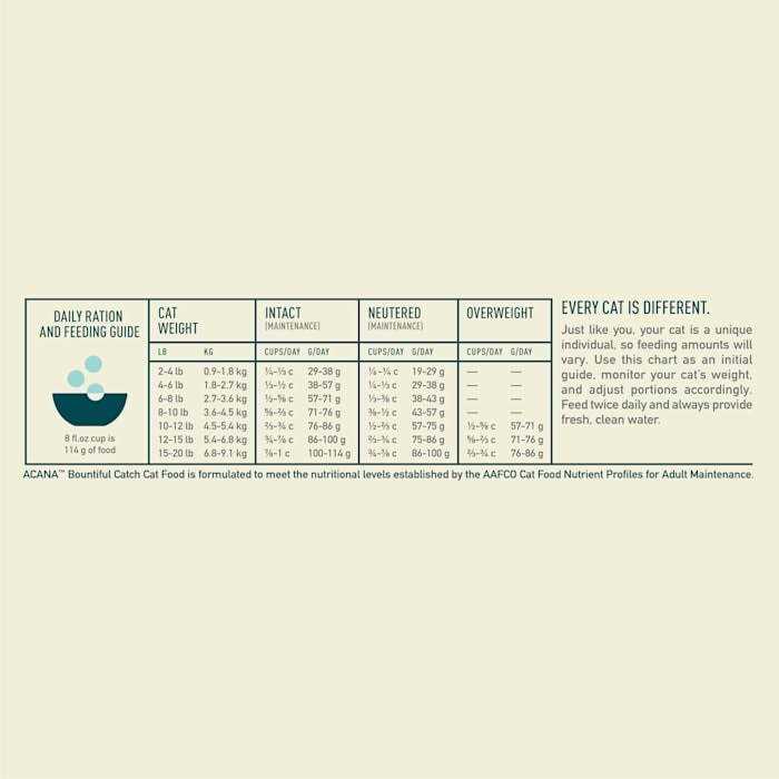 Dry Cat Food F6777