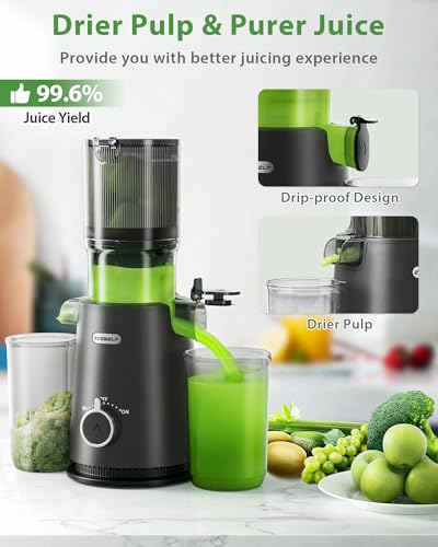 4.35" Hands Free Cold Press Juicer Q987537