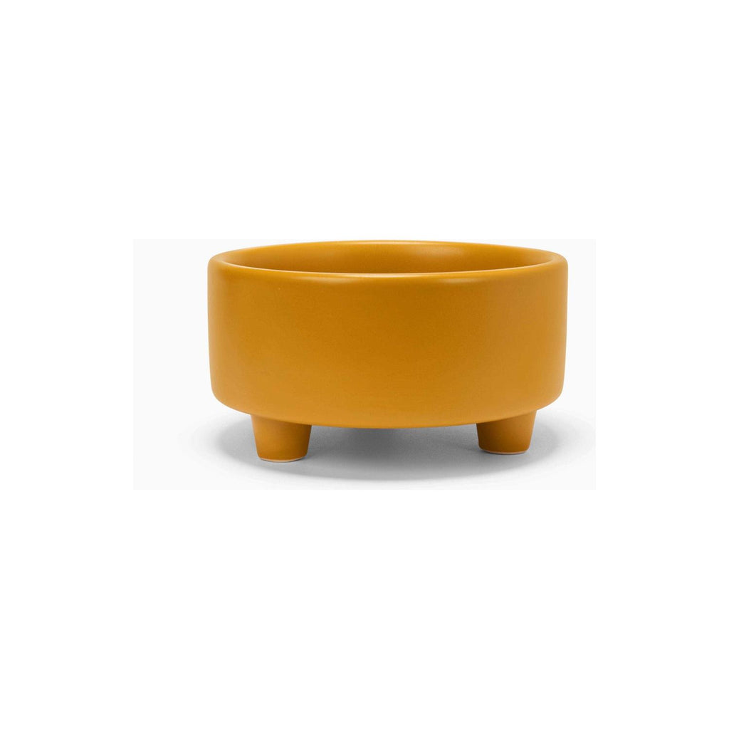 Ceramic Dog Bowl W230149