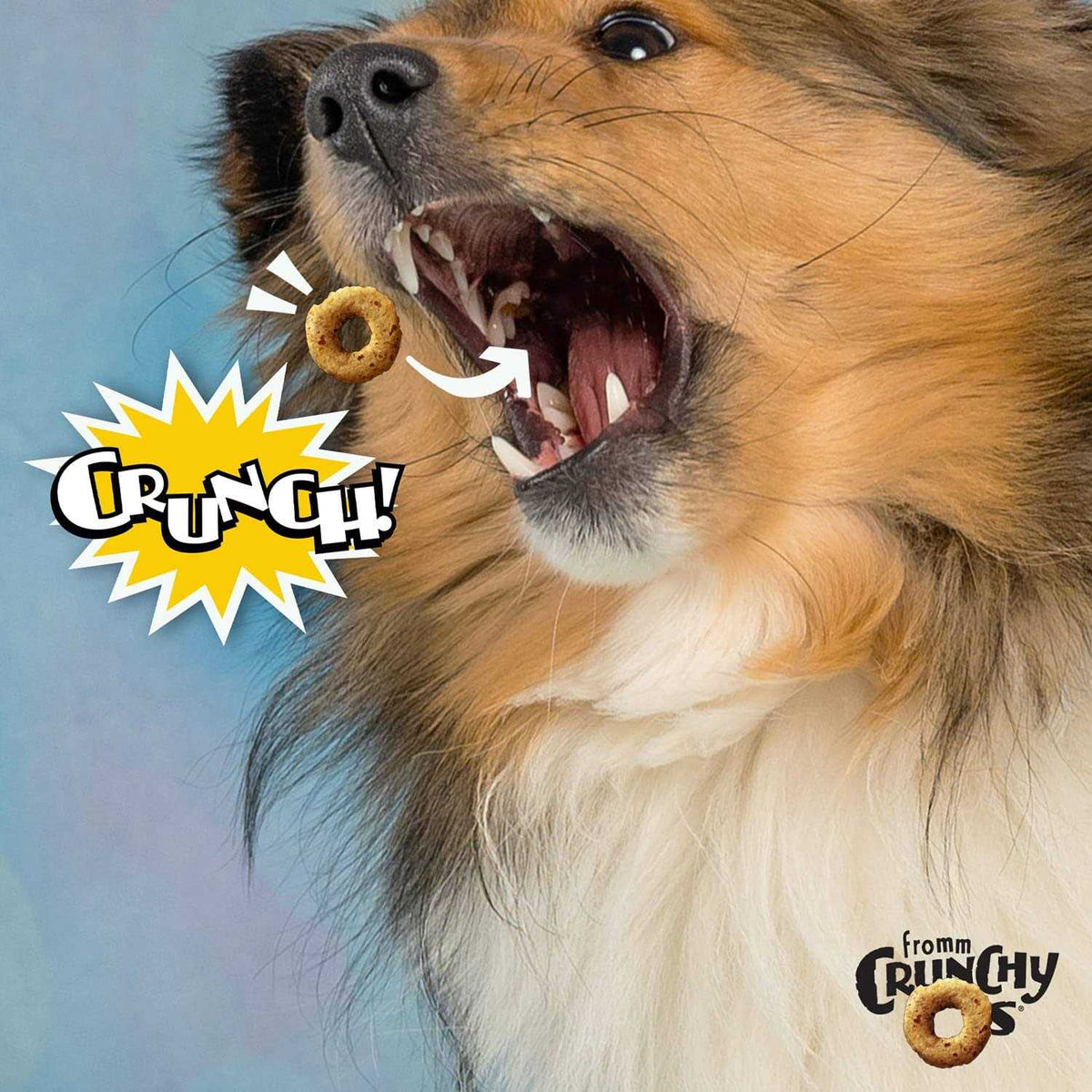 Dog Treats H8596