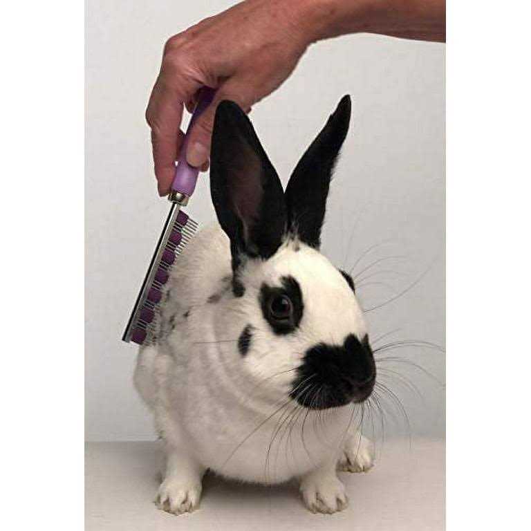 Pet Comb N167281