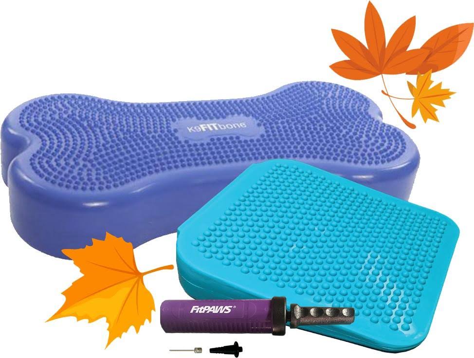 Canine Fitness Kit B9075