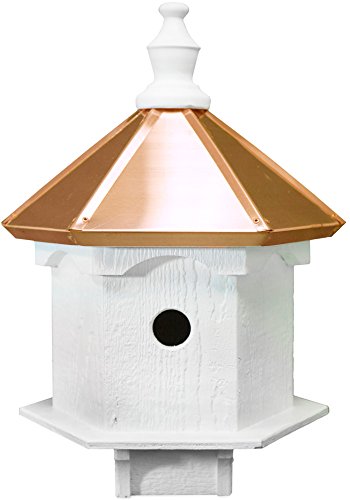 Double Bluebird Birdhouse with Copper Roof C649