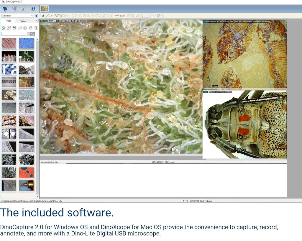 USB Digital Microscope, 10x - 50x, 230x Optical Magnification, 8 LEDs S22510