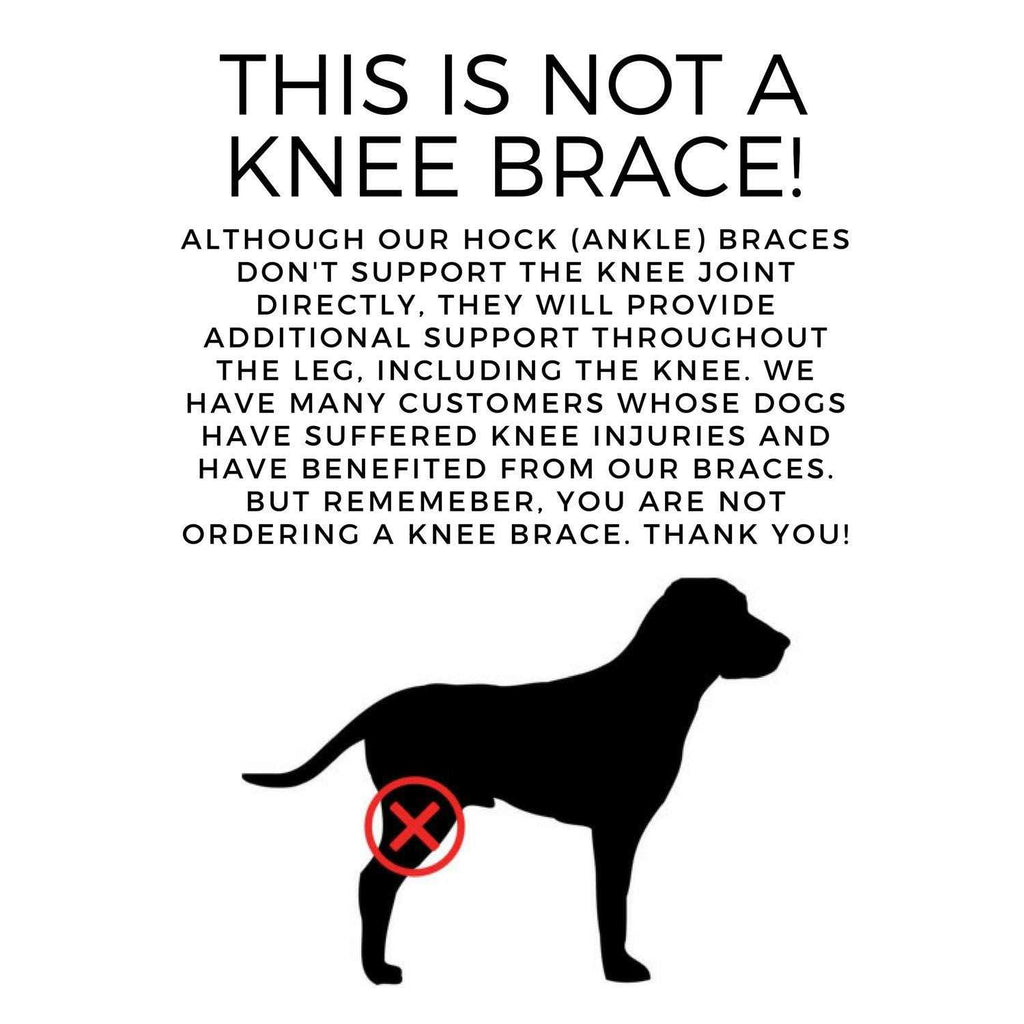 Dog Rear Leg Hock Joint Compression Wrap W683