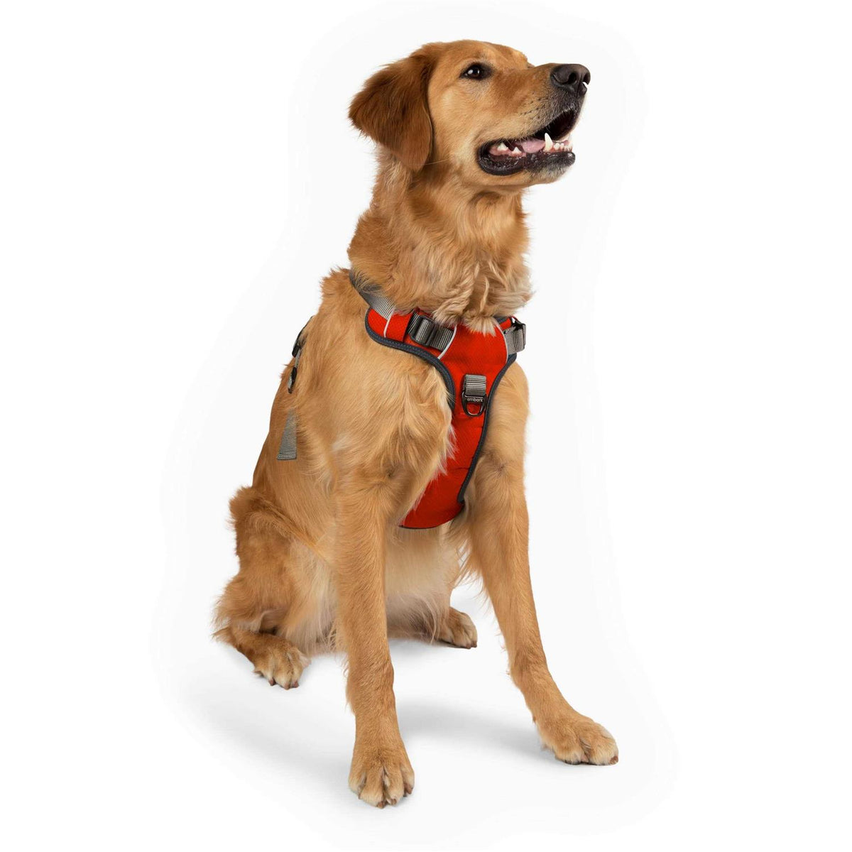 Dog Harness Leash X4581