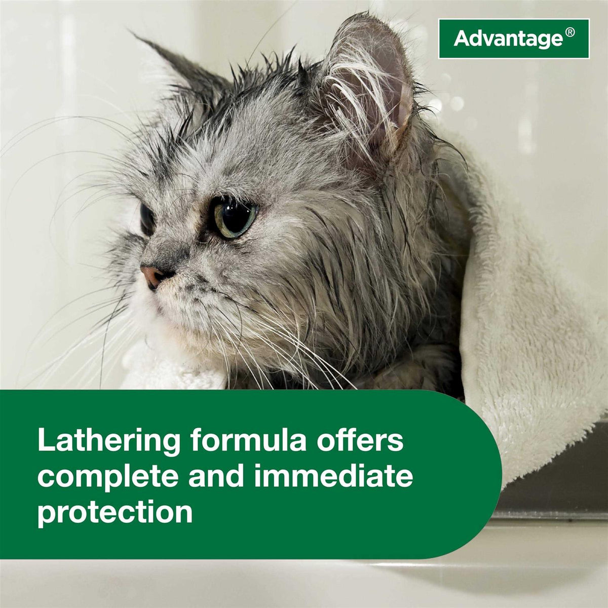 Flea & Tick Treatment Shampoo for Cats & Kittens S2744