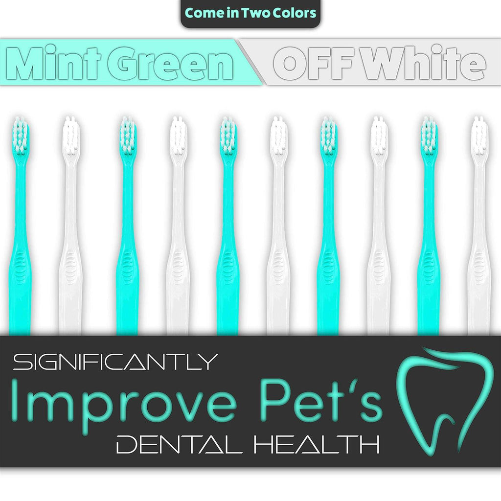 Dog Toothbrushes A30985