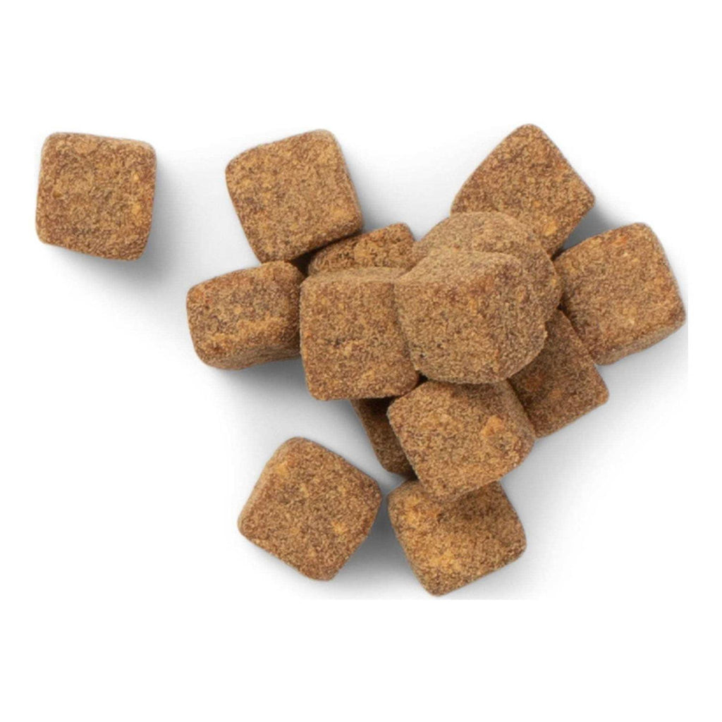 Dog Multivitamin Soft Chews H80280