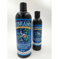 Vibrant Reef I3229