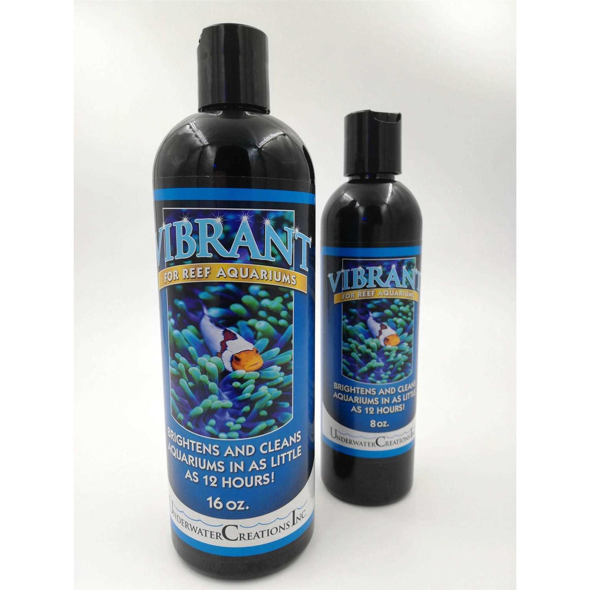 Vibrant Reef I3229