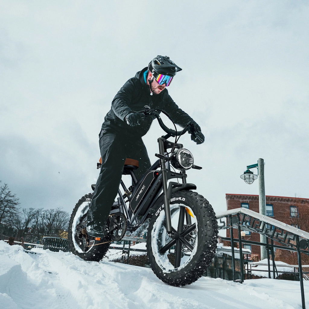 20" 4.0 Fat Tire 750W Electric Bike G21190