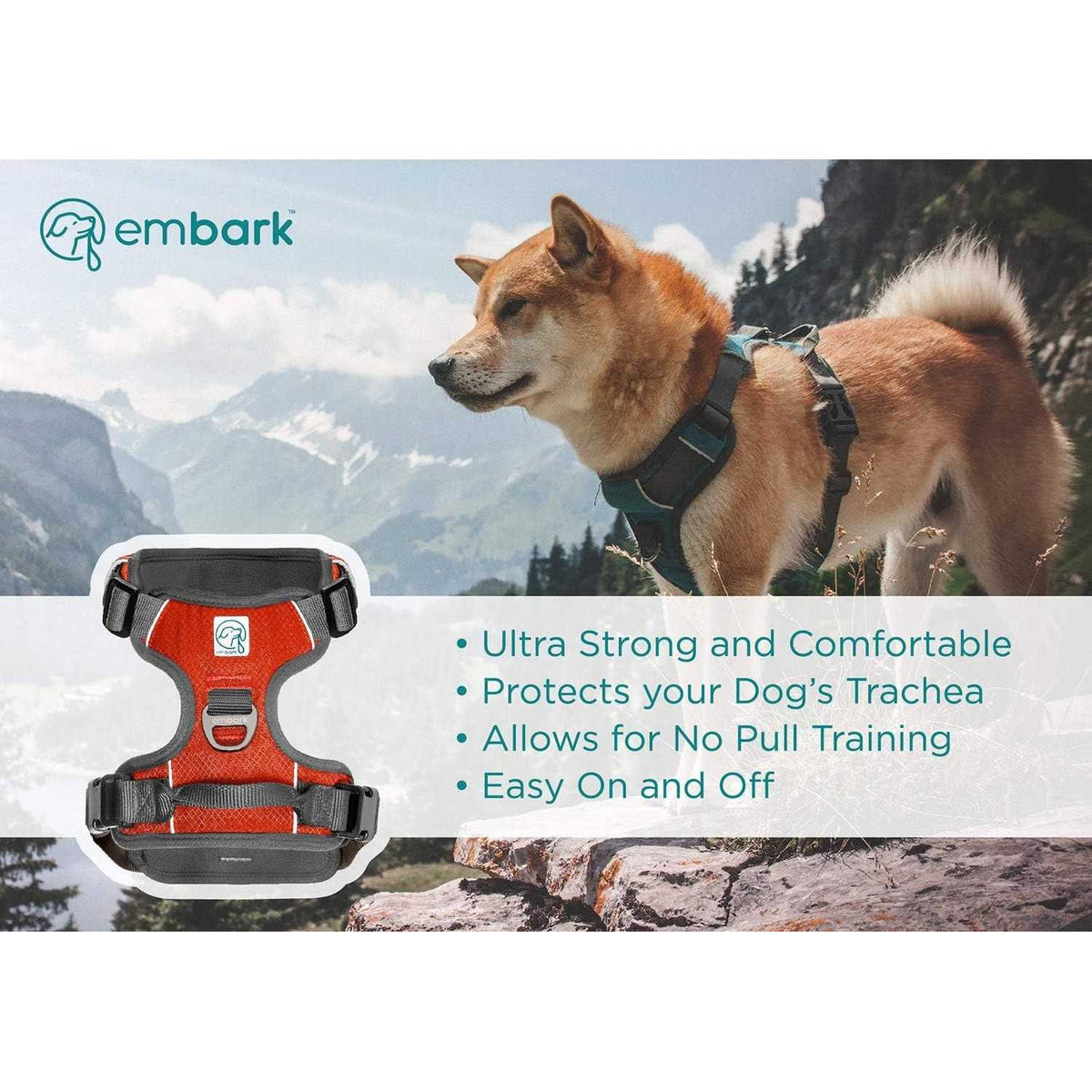 Dog Harness Leash X4581