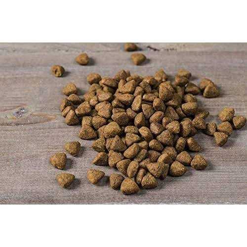 Small Breed Dry Dog Food Turkey P431