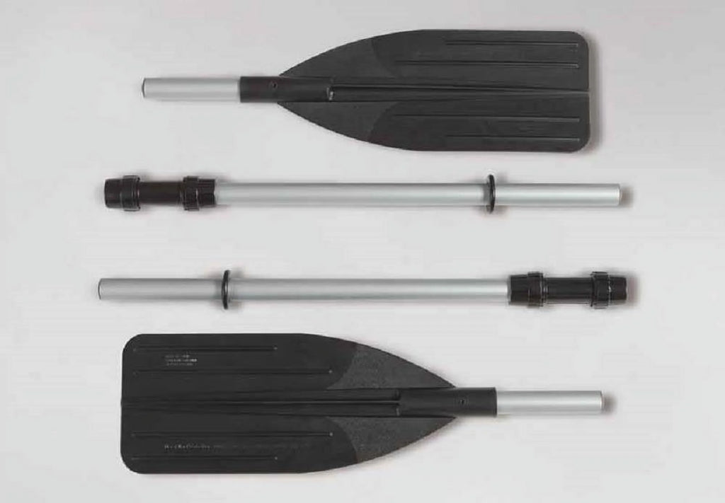 4 Inflatable Boat Set with Oars Pump Motor Mount T418096