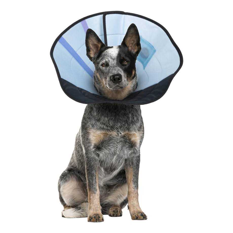 Dog Calming Collar S6954