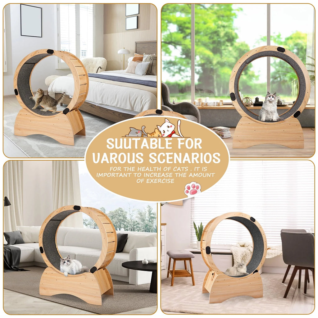 Cat Exercise Wheel P881