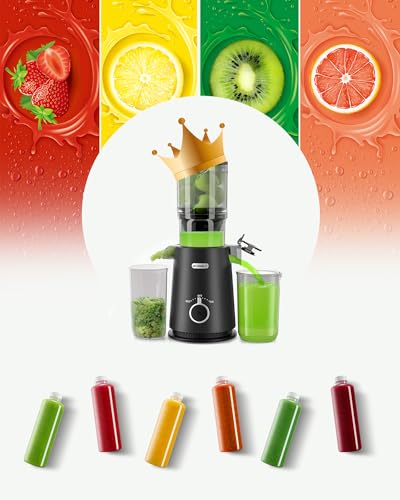 4.35" Hands Free Cold Press Juicer Q987537