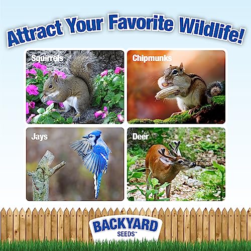 8 lb Squirrel & Chipmunk Food Mix with Sunflower Seeds, Peanuts & Corn J223751