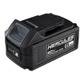 20V 5 Ah Lithium-Ion Battery A258