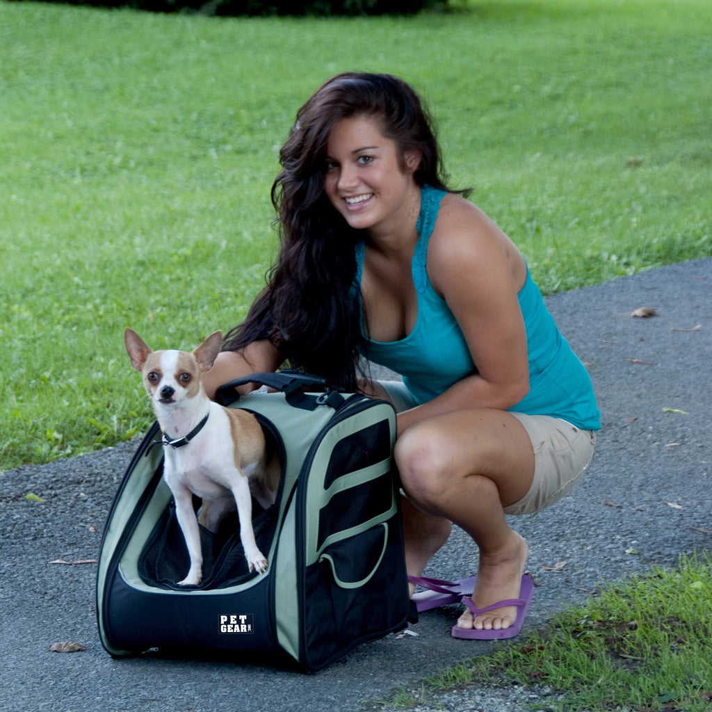 Ocean Blue Pet Carrier L1936