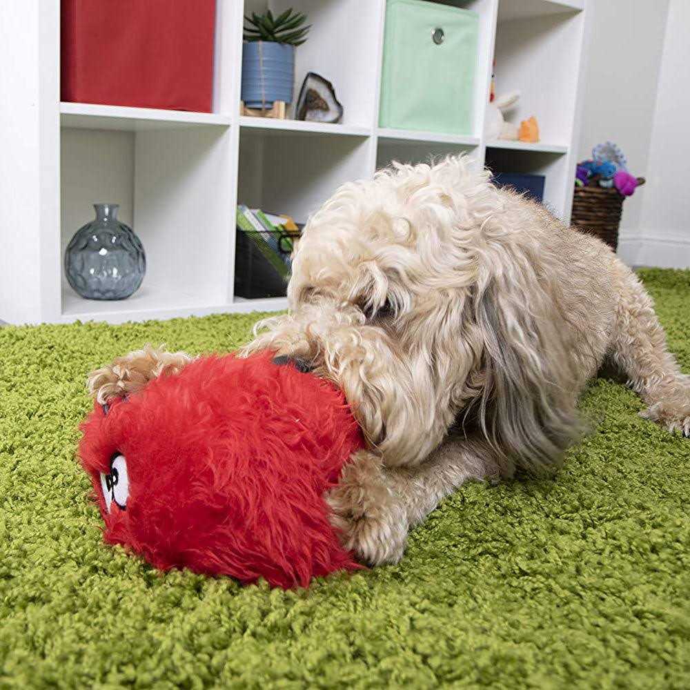 Dog Toy D42598