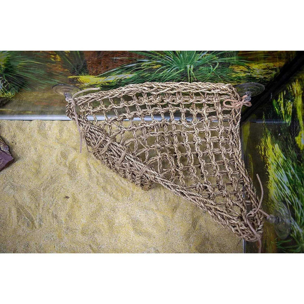 Lizard Lounger Q546