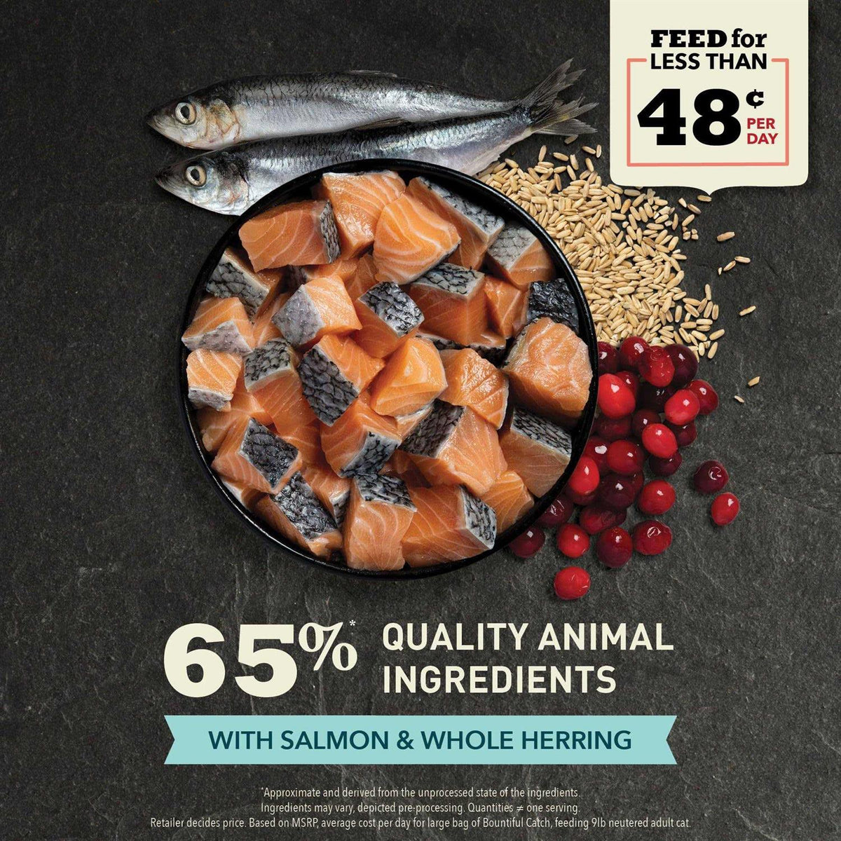 Dry Cat Food F6777