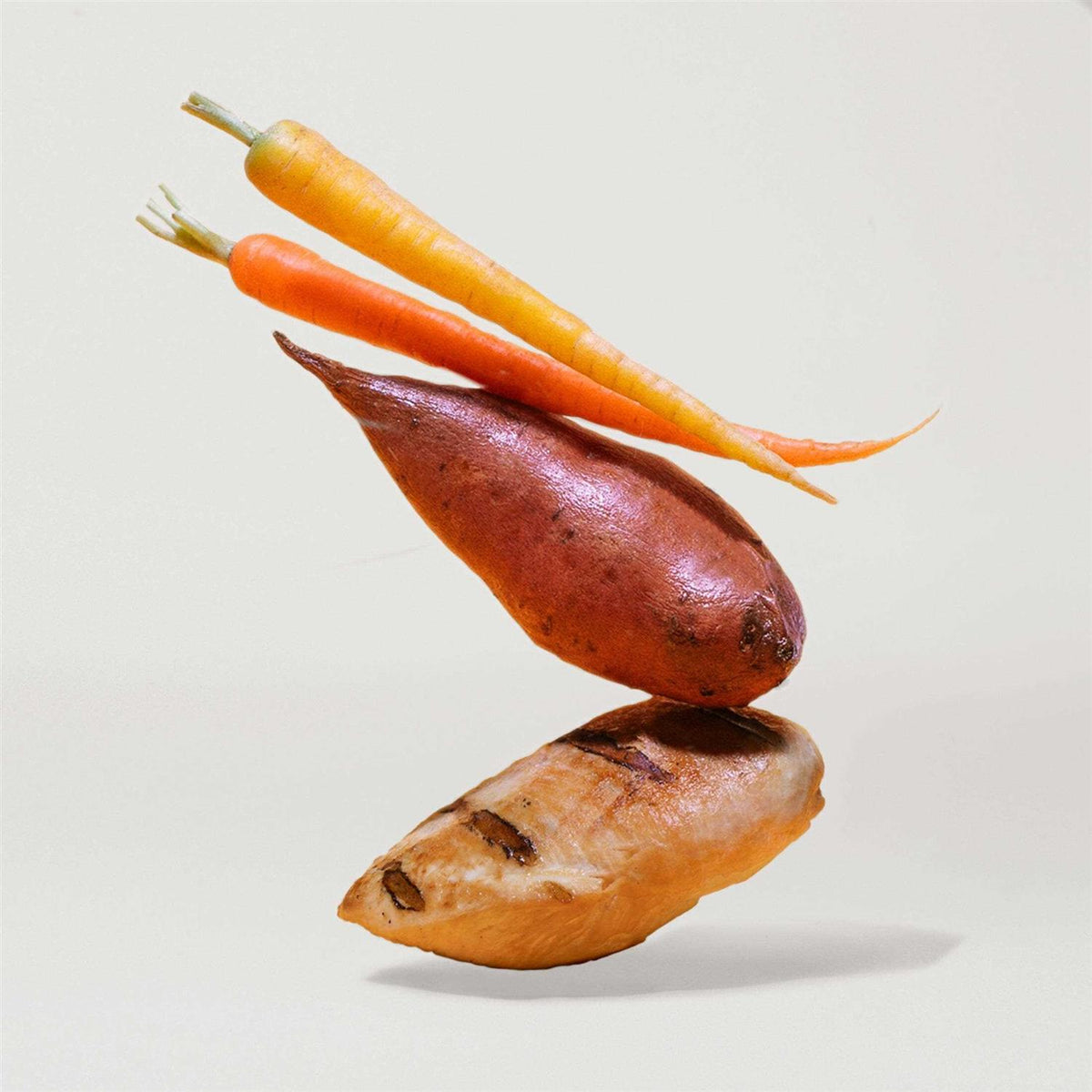 Sweet Potato & Carrot Dry Dog Food K636